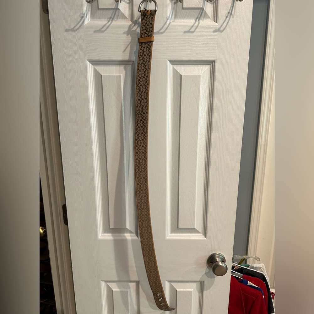 Coach belt